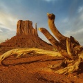 East Mitten Butte. Monument Valley, Arizona, USA